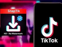 Kenapa Tidak Bisa Download Video Tiktok Di Snaptik